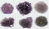 Lot: Amethyst Crystals Rosettes - Pieces #82598-1